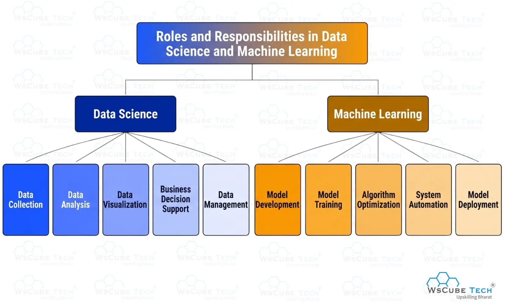 Roles and Responsibilities in Data Science and Machine Learning 