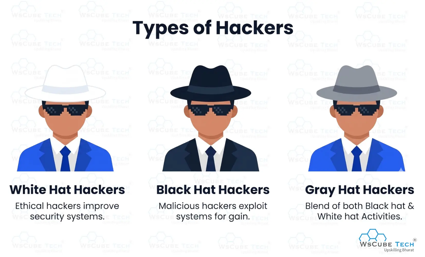 Types of Ethical Hackers 